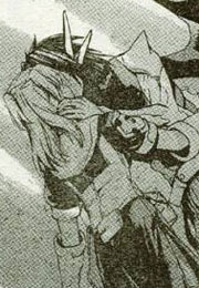 43